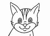 Katzen Ausmalbilder Kopf Diemalen Katze sketch template