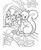 Squirrel Coloring Leaves Compassion Heart His Family sketch template