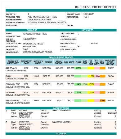 credit report template      bizarre