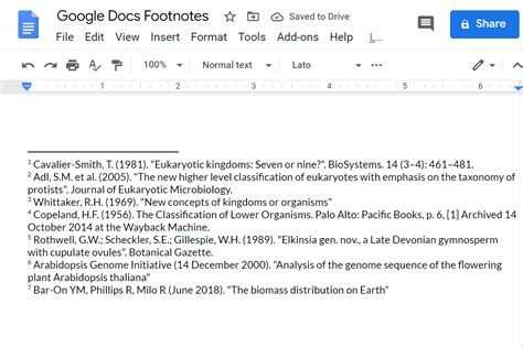 footnotes  paper  footnotes format examples