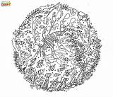 Dragon Sea Coloring Pages Leafy Colouring Lucinda sketch template
