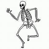 Squelette Tulang Menjadi Dewasa Bayi Lahir Ketika Kok Skelett Feiertage Fensterbilder Azcoloring Greatestcoloringbook sketch template