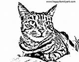 Cat Tabby Coloring Pages Gimp Printable Making Color Photographs Using Method Print Way Getcolorings Getdrawings Worked Then sketch template