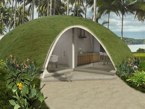 wild proposal  domed houses   inflated concrete wired