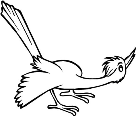 great lizard cuckoo bird coloring pages coloring sky