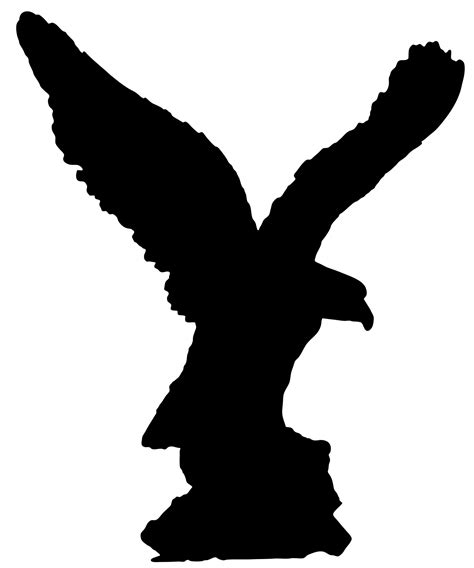 eagle bird silhouette  stock photo public domain pictures