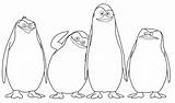 Madagascar Kolorowanki Ausmalbilder Pingwin Pinguine Pinguin Penguins Pinguinos Pinguino Cool2bkids Dzieci Dla Pingüinos Malvorlagen Wydruku sketch template