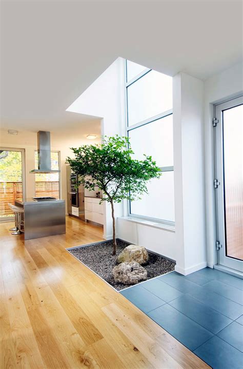 beautiful indoor house plants ideas