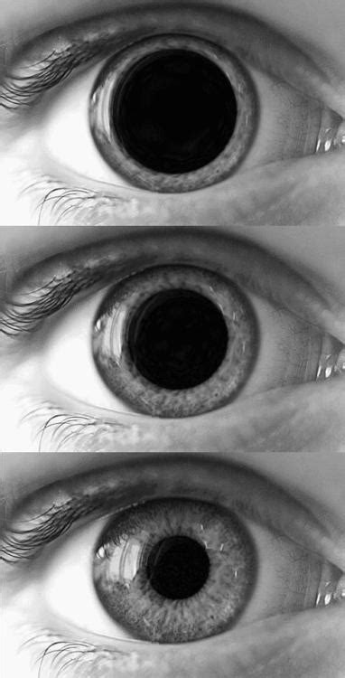 Dilated Eye Tumblr