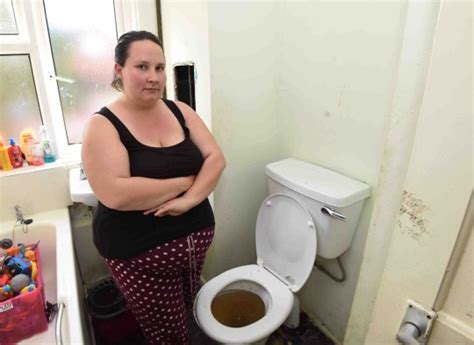 Pregnant Mums Bathroom Overflows With Poo Every Time Her Neighbour