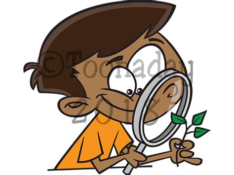 observation cliparts png images observation cliparts clipart