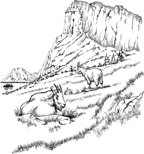 top  printable goat coloring pages  coloring pages