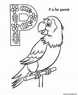 Coloring Parrot Bird Alphabet Pages B870 Printable Print Color sketch template