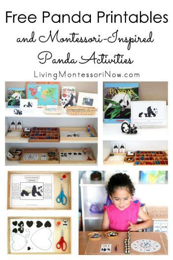 panda printables  montessori inspired panda activities