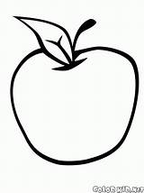 Sour Manzana Manzanas Apfel Saurer Colorkid Agrumi Owoce Obst Pineapple Frutta Zweig Kirschen Kolorowanki Kwaśne Jabłko Coloriages sketch template