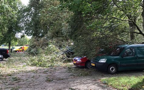 bomen vallen op autos bij carpoolplaats  bolsward leeuwarder courant