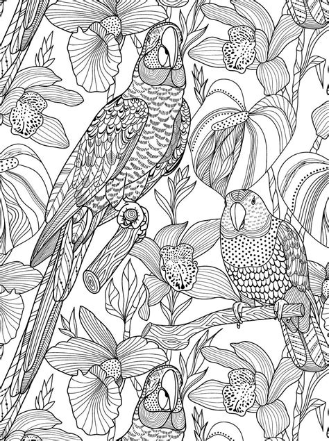 pin  coloring pages  adults  printables