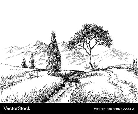 field landscape pencil drawing royalty  vector image