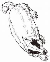 Badger Coloring Honey Pages Sheet Mitten Janbrett Animal 35kb 600px Badgers sketch template