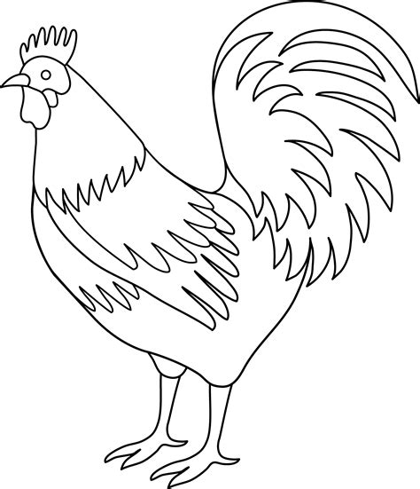 rooster coloring page  clip art