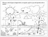 Estados Agua Fisicos água Atividade Atividades Físicos Artigo sketch template