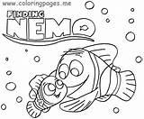 Nemo Finding Coloring Pages Turtle Fish Printable Sheets Bruce Color Pdf Getcolorings Marlin Printables Colorin Getdrawings Popular Willpower Colorings sketch template