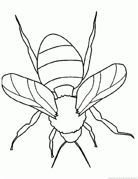 bumblebee coloring pages part