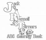 Russell Terrier Jack Coloring 97kb 553px 1023 sketch template