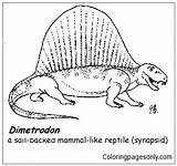Dimetrodon Coloring Pages Online Color Dinosaur Printable sketch template