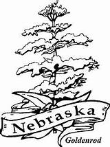 Nebraska Coloring Pages Getcolorings State sketch template