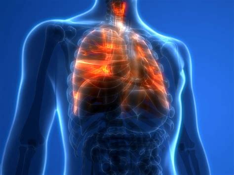 lung cancer pain move  cancerwalls