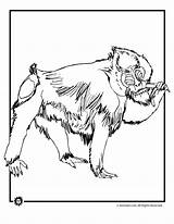 Coloring Baboon Pages Animals Springbok Octopus sketch template