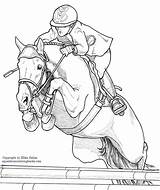 Jumping Dressage Thoroughbred Getdrawings Coloringpages2019 sketch template