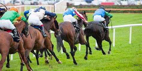 sea the sun leads betbright s quest for tipster challenge
