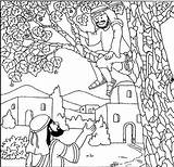 Zacchaeus Coloring Jesus Bible Tree Pages Printable Zaccheus Preschool Climbs Kids Story Et Nt Getdrawings Jésus Comments Template sketch template