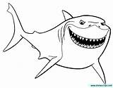 Nemo Coloring Pages Finding Bruce Shark Cartoon Clipart Para Colorear Disney Colouring Dibujo Google Dory Tiburon ぬりえ Sheets Printable Kids sketch template