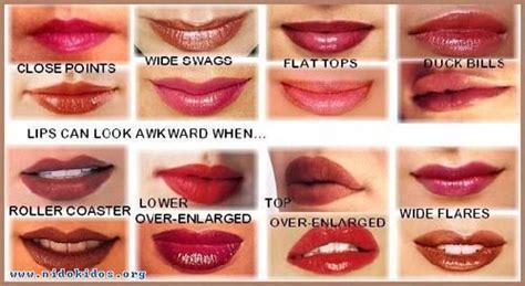 Shapes Types Of Lips Sorry Authors Writers Writing Tips