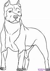 Coloring Pitbull Dog Drawing Pages Cartoon Dogs Drawings Blue sketch template