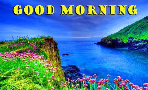 good morning  scenery wallpapers wallpaper cave
