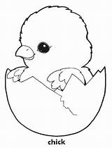 Coloring Chick Chicken Pages Chickens Printable Baby Cute Chicks Print Easter Colouring Color Kids Hatching Book Animal Clipart Animals Sheets sketch template