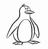Penguin Coloring Pages Penguins Outline Printable Template Drawing Cartoon Clipart Print Pittsburgh Templates Colouring Animal Funny Kids Color Worksheets Drawings sketch template