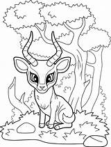 Animais Antelope Pronghorn Clipart Kids sketch template