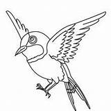 Sparrow Hellokids Colibri Dibujos Ruiseñor Japon sketch template