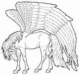 Pegasus Coloring Pages Realistic So Unicorns Tired Adults Horses Print Color sketch template