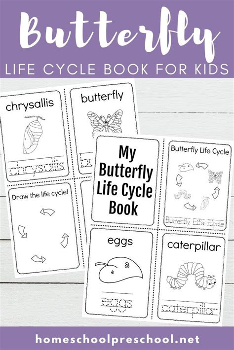 butterfly life cycle printable book butterfly life cycle preschool