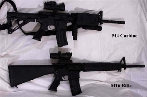 M4 Carbine Top And M16 Rifle Bottom Download