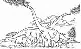 Brachiosaurus Barosaurus Gallimimus Hypselosaurus Brachiosauro Landschaft Dinosaurier Kleurplaat Dinos Dinosaurs Malvorlage Dinosaurio Lange Realistic Umano Dinosauri sketch template