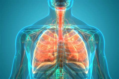 chronic lung disease  covid  prevention neo orthopedics