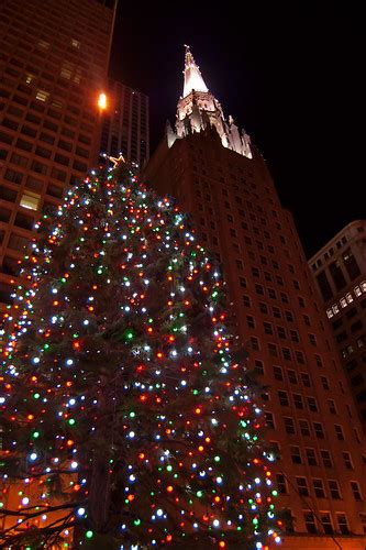 chicago temple building  daley plaza christmas tree flickr
