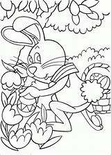 Coloring Cottontail Peter Pages Easter Bunny Book Info Popular Coloriage Gif Coloringhome Kids sketch template